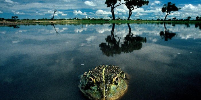 1280x1024 National Geographic Wallpapers HD