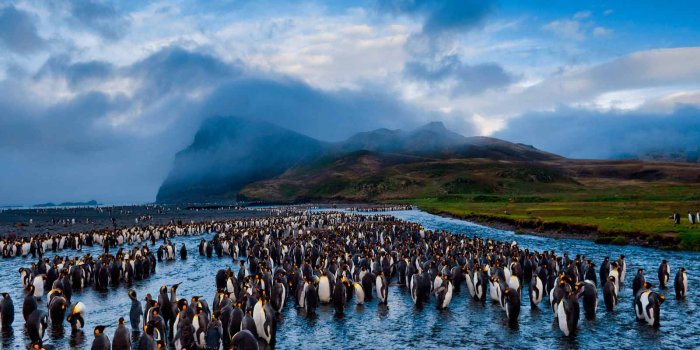 1600x1200 National Geographic Wallpapers - Top Free National Geographic