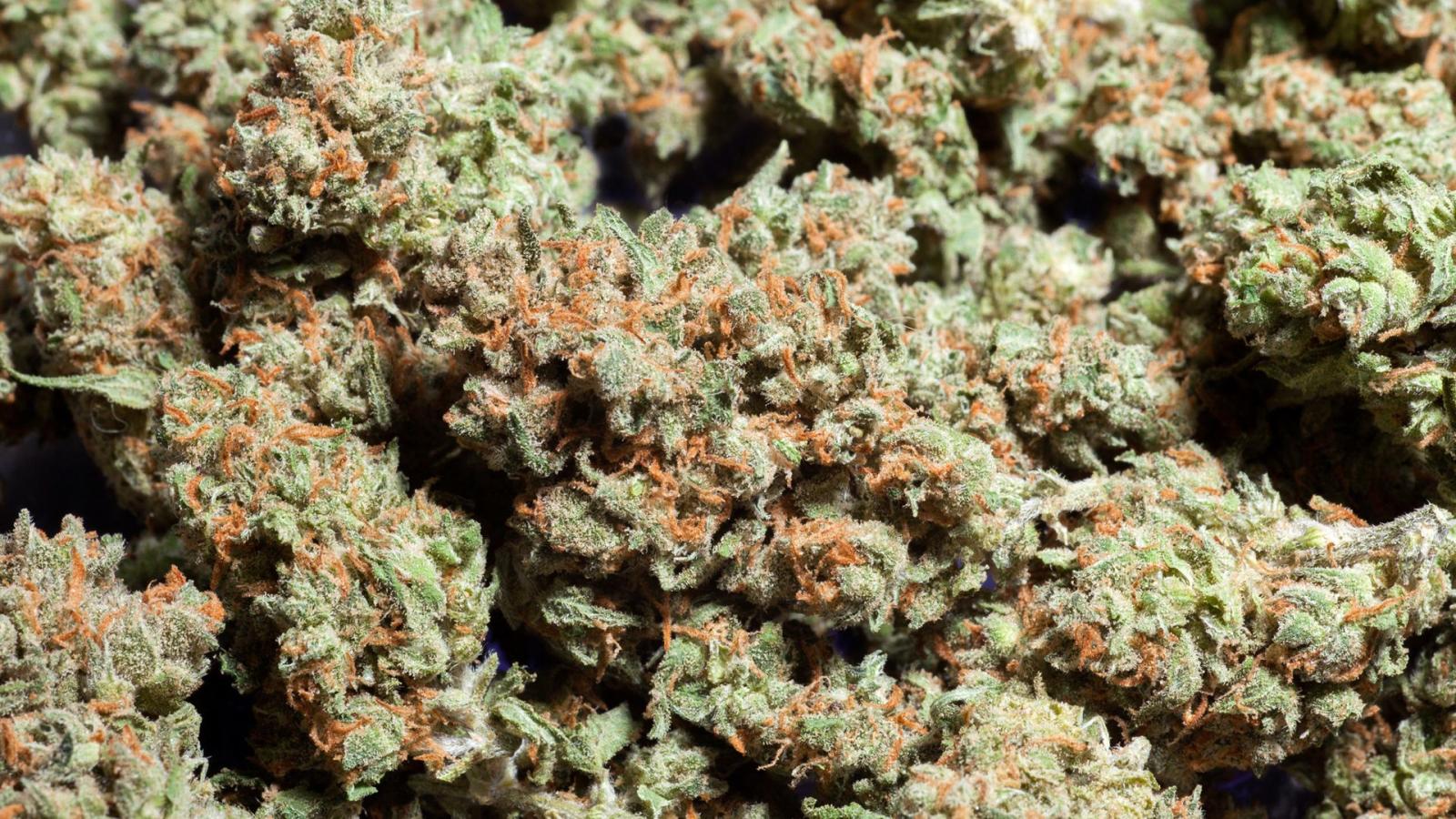 1920x1080 A Guy Is Charging People $100 To Teach Them How To Get High – Sick