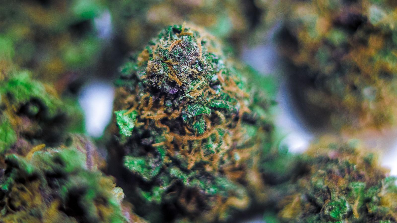 3840x2160 4K Weed Wallpapers High Quality | Download Free