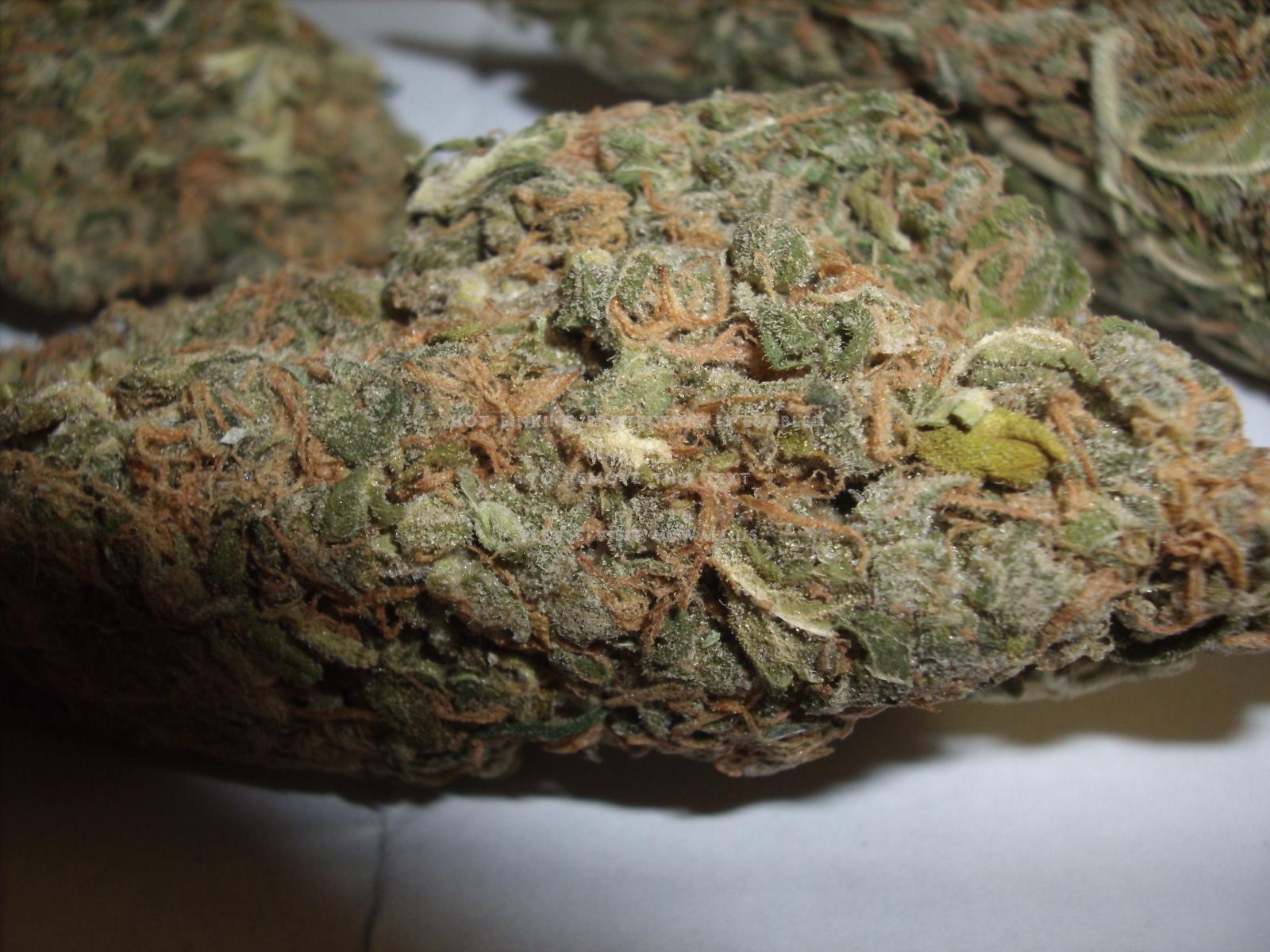 3072x2304 Hd Weed Nug Wallpaper - LS