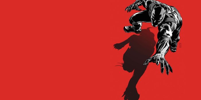 1920x1080 Black Panther Supreme Wallpaper – Free Download Wallpaper