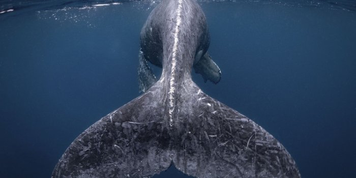 1200x675 2018 National Geographic Travel Photographer of the Year | National