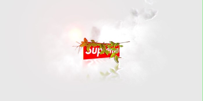 1920x1080 HD wallpaper: supreme, nature, red, paint, stained, splattered