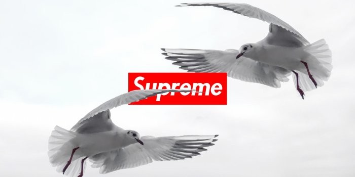 2880x1800 Supreme Wallpapers - Album on Imgur