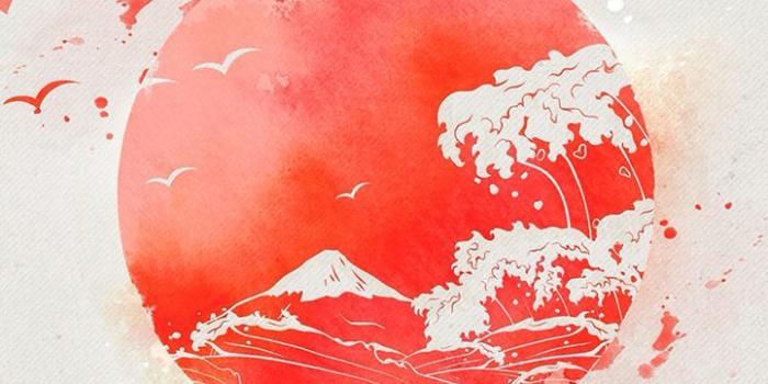 722x1334 Japanese Phone Wallpapers - Top Free Japanese Phone Backgrounds