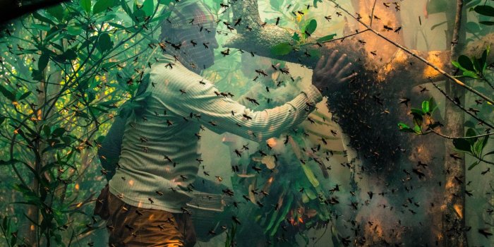 1600x1200 Wallpapers from National Geographic - Album on Imgur