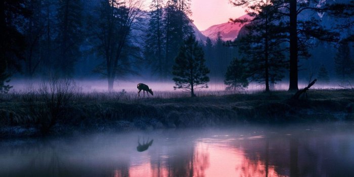 1920x1080 National Geographic Wallpapers - Top Free National Geographic