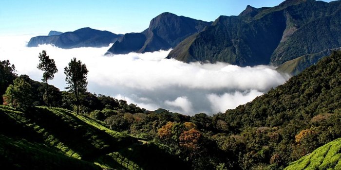 1280x960 Amazing Nature Wallpapers - National Geographic Wallpaper (7896493