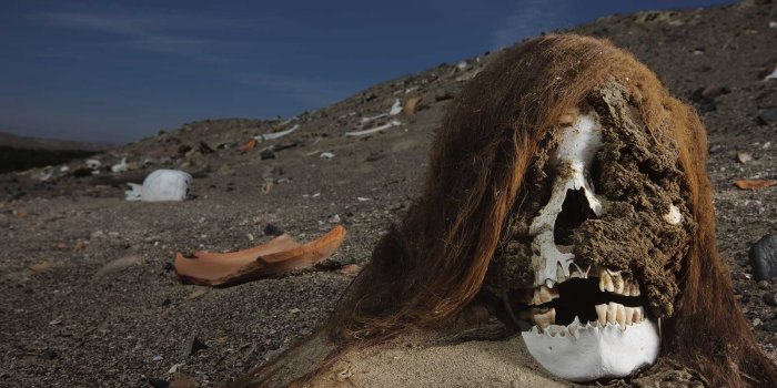 1600x1200 National Geographic Wallpaper | tokowallpapers