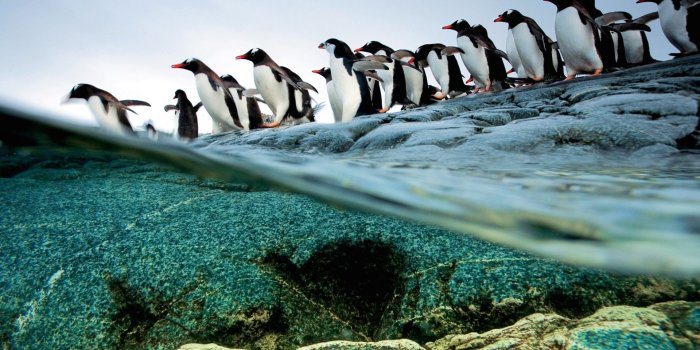 1920x1200 Nature Wallpaper Set 69 (National Geographic) « Awesome Wallpapers