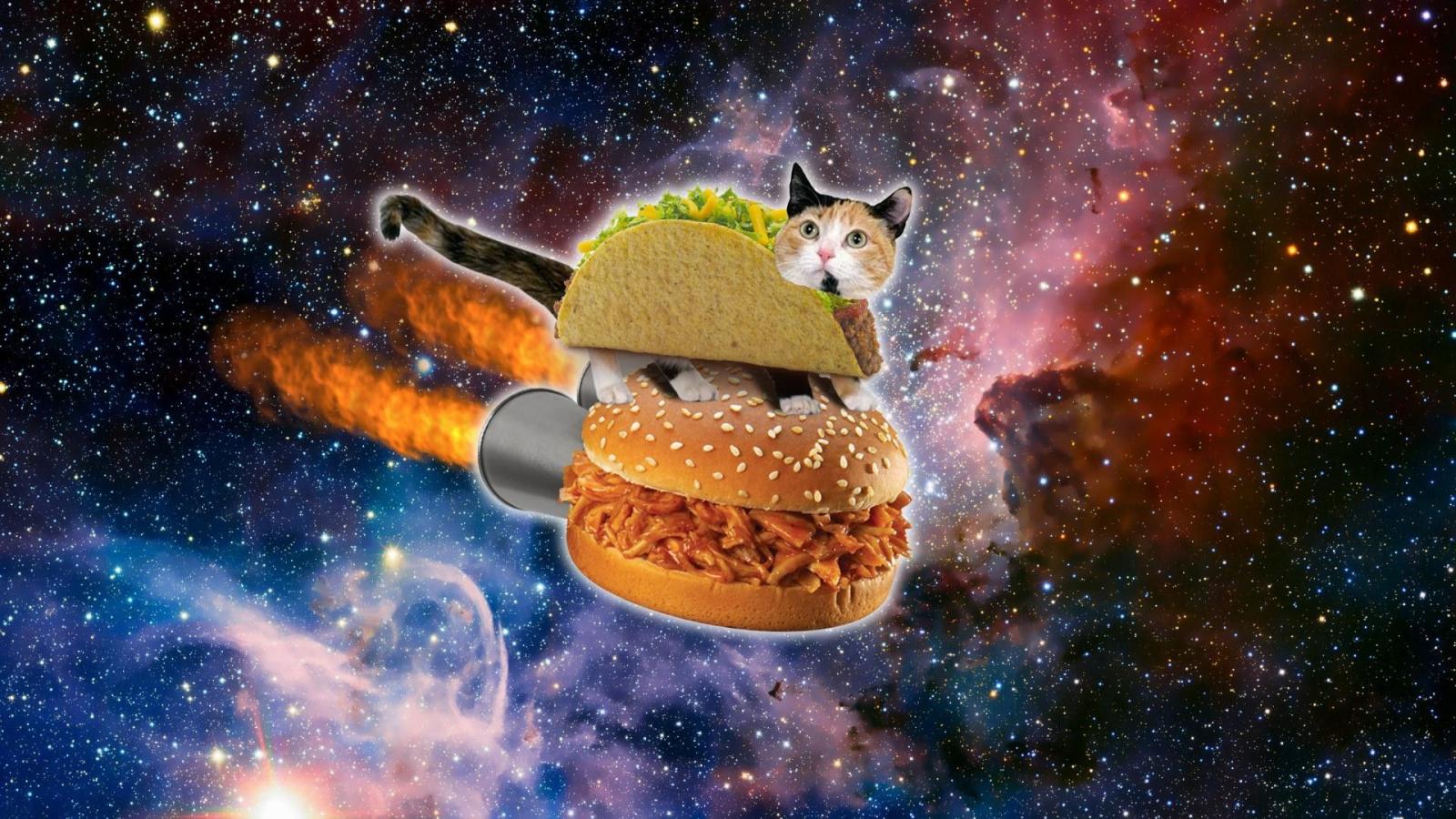 1920x1080 Galaxy Cat Wallpaper (69+ images)