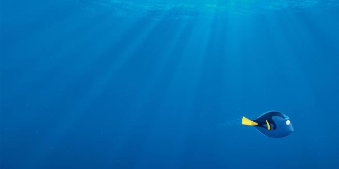 2880x1800 Finding Dory Wallpapers