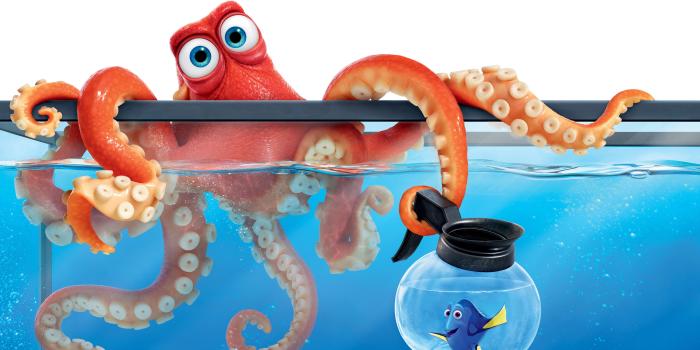 3840x2400 29 Finding Dory HD Wallpapers | Background Images