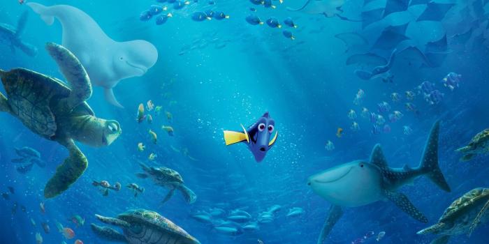 1920x1080 29 Finding Dory HD Wallpapers | Background Images