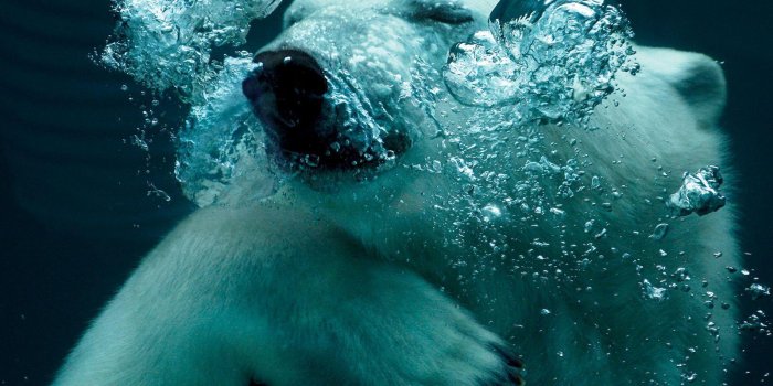 1600x1200 National Geographic Desktop Backgrounds