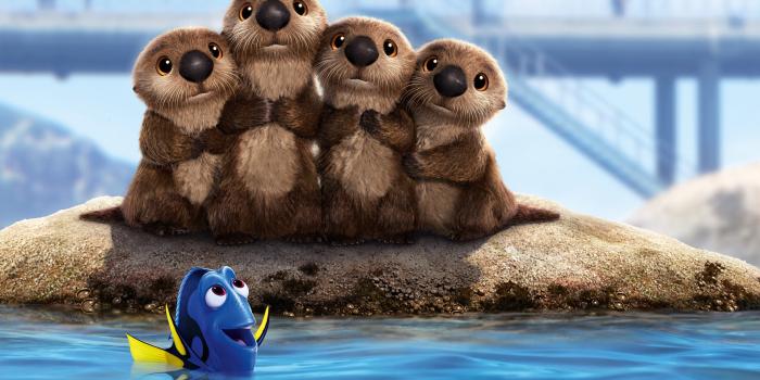 5120x2837 29 Finding Dory HD Wallpapers | Background Images