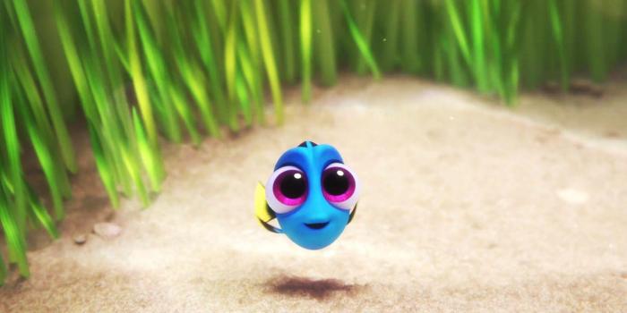 1920x1080 Finding Dory Wallpapers