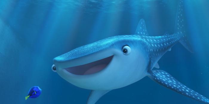 3840x2160 Finding Dory, HD Movies, 4k Wallpapers, Images, Backgrounds, Photos