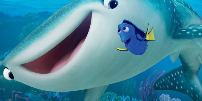 7980x6000 29 Finding Dory HD Wallpapers | Background Images