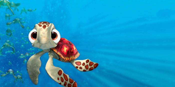 1920x1200 Finding Nemo Squirt HD Wallpaper for iPod - Cartoons Wallpapers