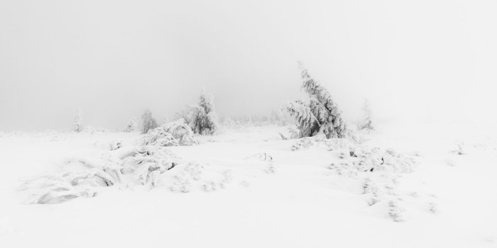 1920x1080 Winter Fog White Snow Trees Aesthetic ❤ 4K HD Desktop Wallpaper for