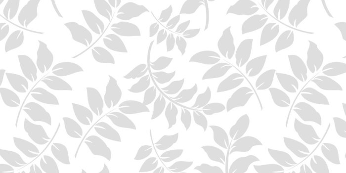 1280x800 74+] White Wallpaper Background on WallpaperSafari