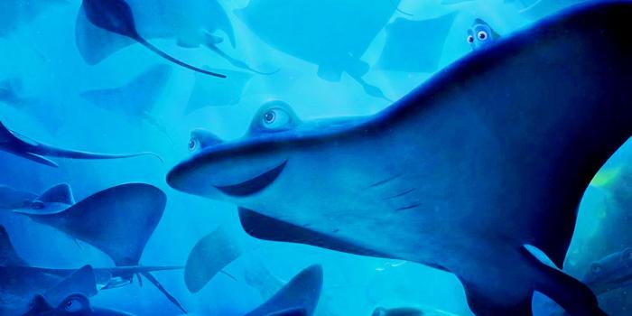 1280x800 Finding Dory Wallpaper - Finding dory Wallpaper (39704961) - Fanpop