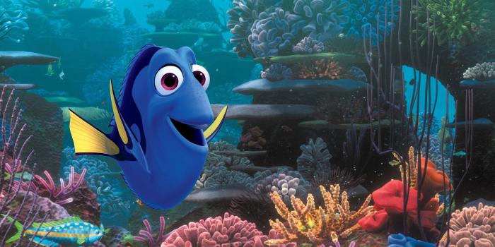 2880x1800 Finding Dory Wallpaper Full Hd