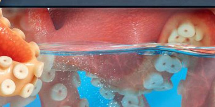 1000x1778 Finding Dory: Downloadable Wallpaper for iOS & Android Phones | For