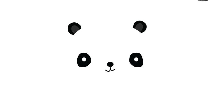 1920x1080 White Panda HD Desktop Wallpaper 19599 - Baltana