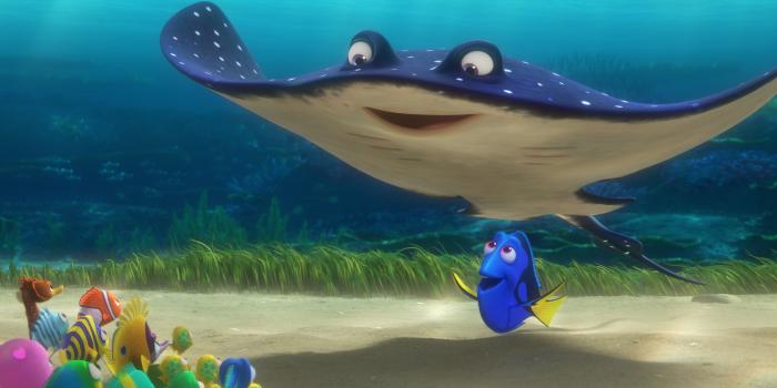 4096x2304 Finding Dory underwater setting digital wallpaper HD wallpaper