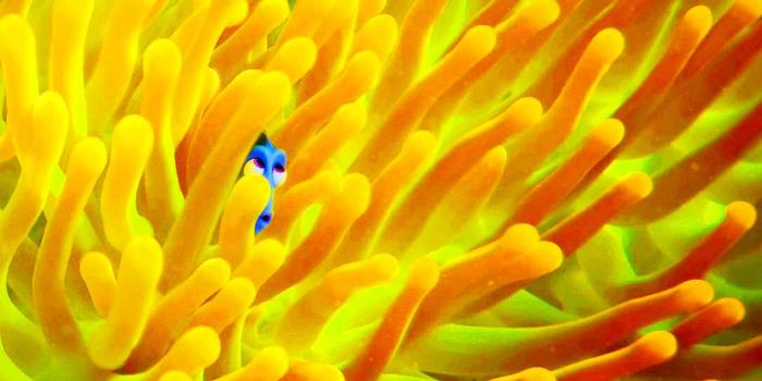 1280x800 Finding Dory Wallpaper - Finding dory Wallpaper (39704963) - Fanpop