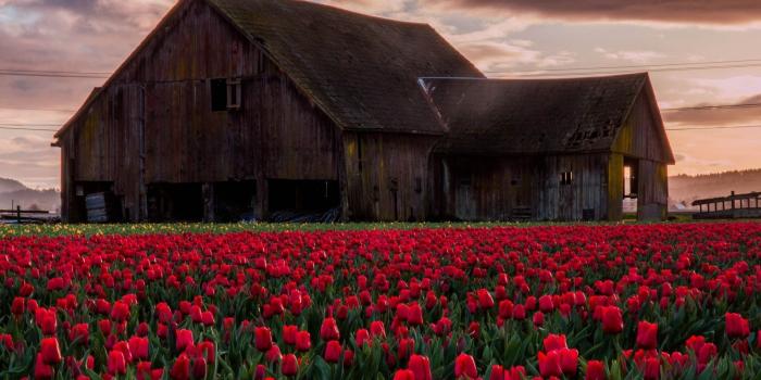 1920x1200 35+ Red Barn Desktop Wallpapers - Download at WallpaperBro