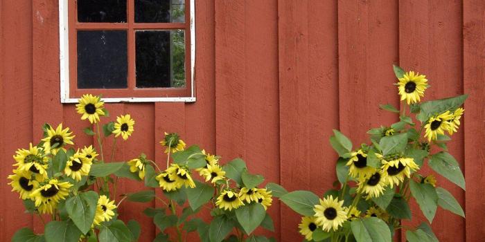 1600x1200 Barns Wallpapers