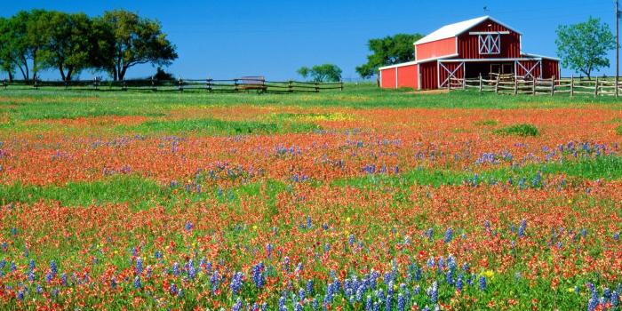 1600x1200 50+ Early Spring Barn Wallpapers - Download at WallpaperBro