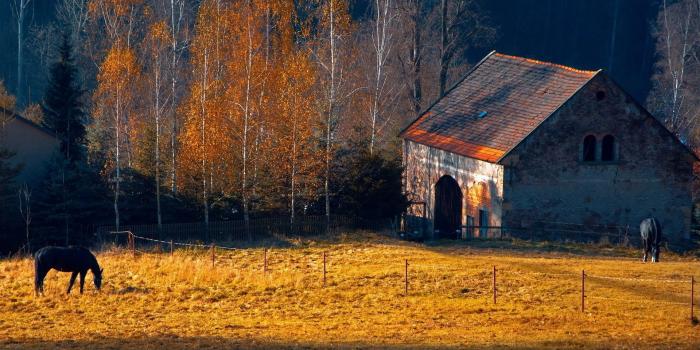 1920x1080 48+] Fall Farm Desktop Wallpaper on WallpaperSafari