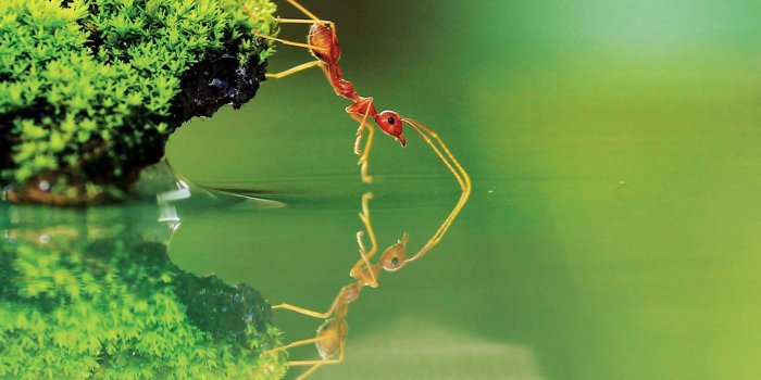 1600x1200 Free Download Awesome National Geographic Images