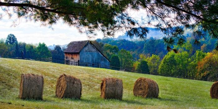 1600x1000 1417821 barn desktop | Man made | Tokkoro.com Amazing HD Wallpapers