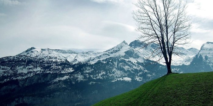 1600x1200 National Geographic Wallpapers - THIS Wallpaper