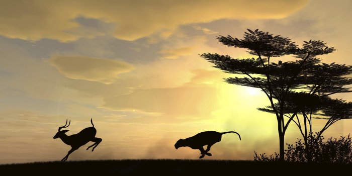 2726x1803 National Geographic Wallpapers - Top Free National Geographic