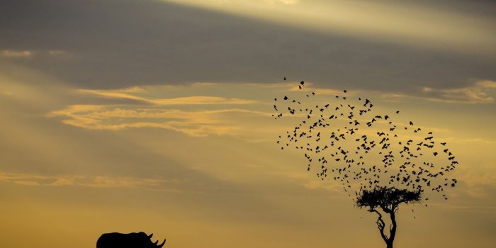 1600x1200 National Geographic Travel Photographer of the Year 2018