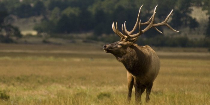 1600x1200 Download National Geographic Desktop Wallpaper #6972415