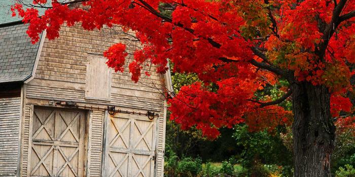 1280x1024 Download autumn ny Autumn Photography Desktop Wallpapers 17667 Views