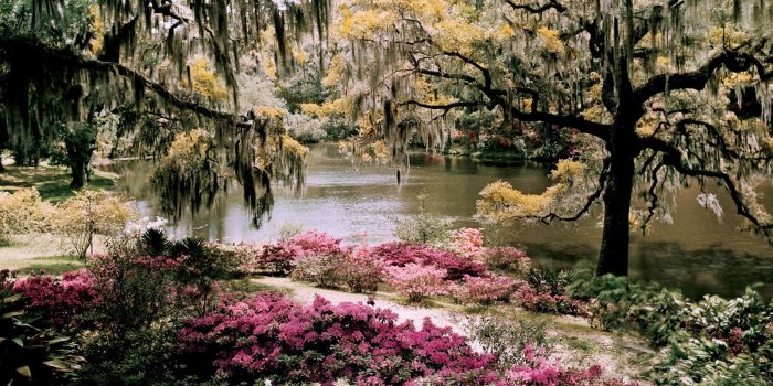 1600x1200 30+ National Geographic Spring Wallpapers - Download at WallpaperBro