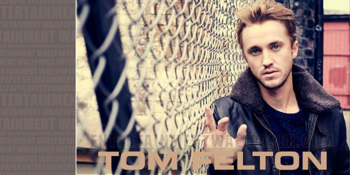 1920x1200 Tom Felton Wallpaper - Tom Felton (#1373204) - HD Wallpaper Download