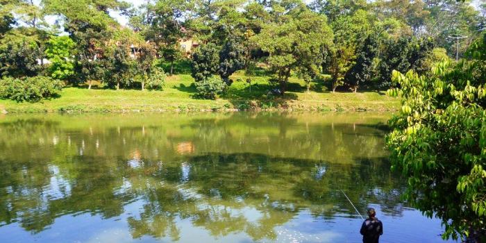 1024x768 Universitas Indonesia | Reynando Hutabarat