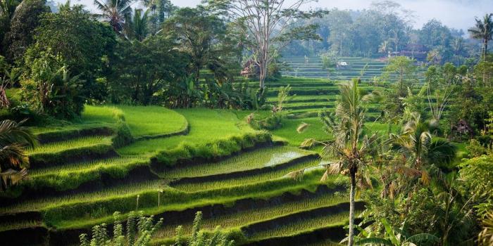 1920x1080 Indonesia Wallpapers - Top Free Indonesia Backgrounds - WallpaperAccess