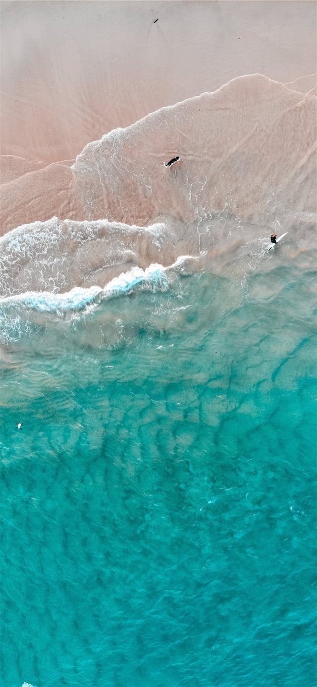 640x1385 The dog's dream iPhone X wallpaper #nature #australia #Surf #dji