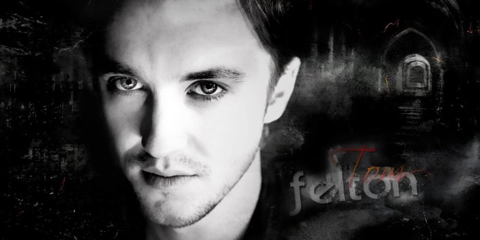 1920x1080 Tom Felton Wallpaper